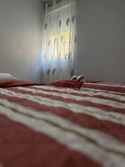 Apartamento Turistico O.N Renfe Κόρδοβα Εξωτερικό φωτογραφία